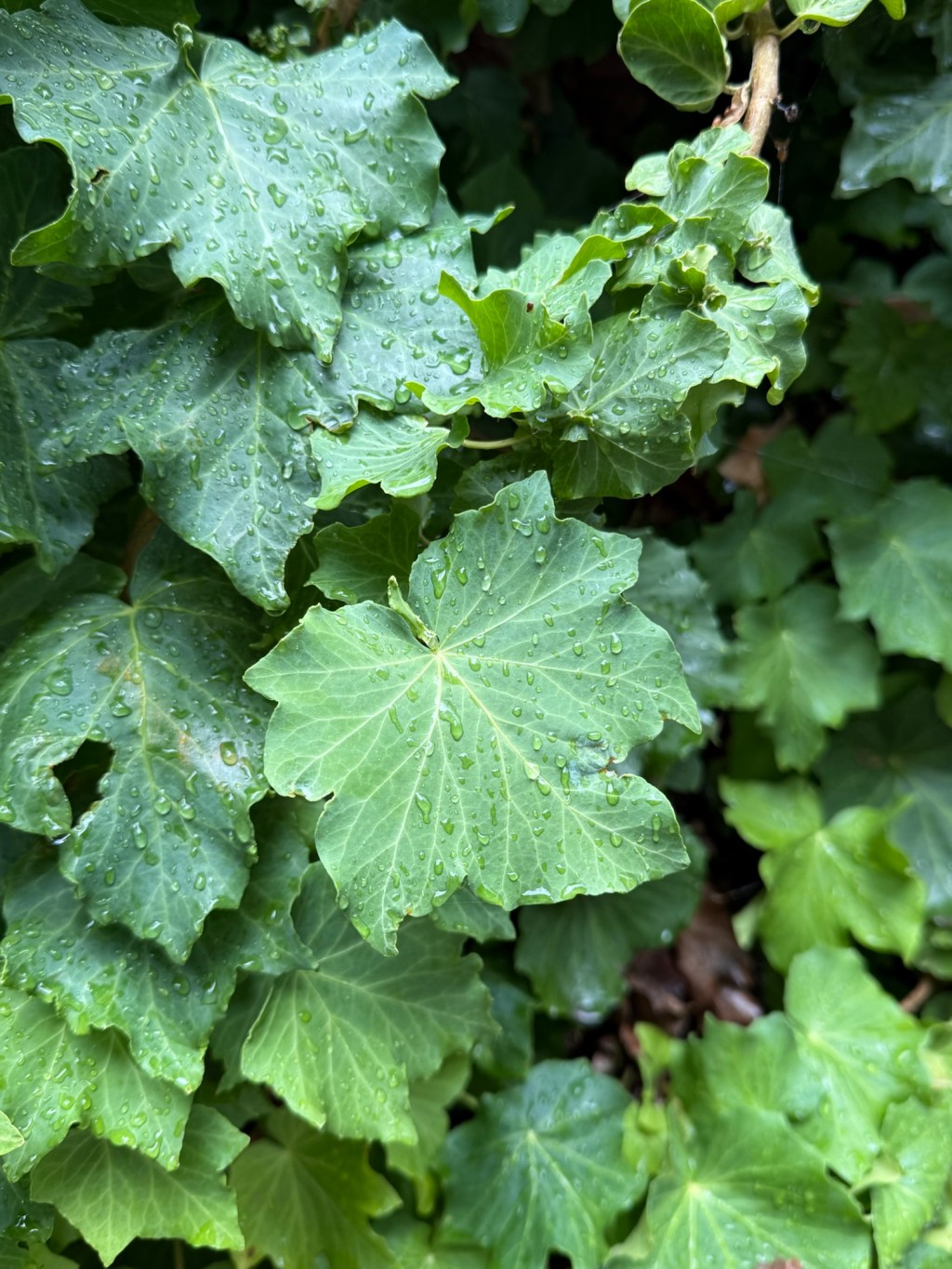 The Death of Boredom and the Unfulfilled&nbsp;Minute